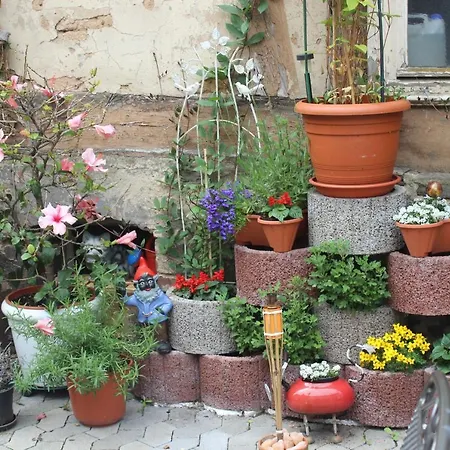 Restaurant / Mainzer Tor Alsfeld