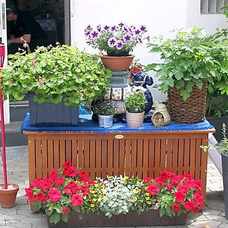 Restaurant / Mainzer Tor Gasthof Alsfeld