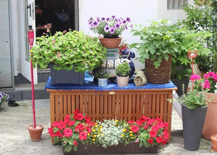 Restaurant / Mainzer Tor 2*